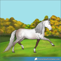 Horse Color:Gray Silver Black Pearl Tobiano 