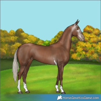 Horse Color:Gray Silver Black Pearl Tobiano 