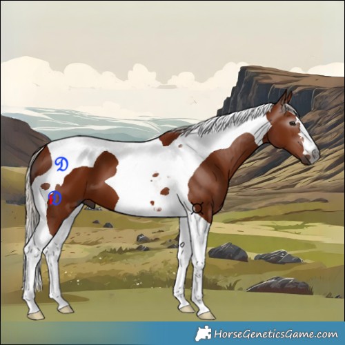 Horse Color:Gray Silver Bay Tobiano 