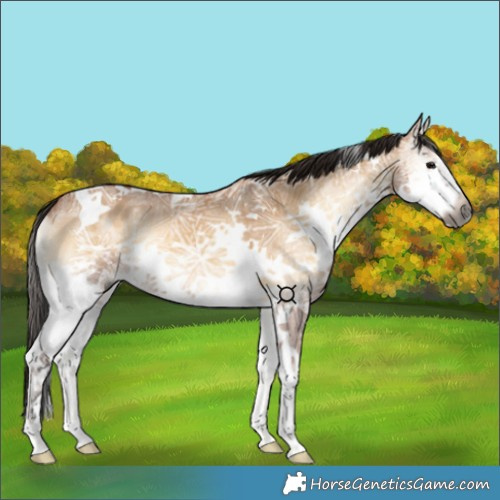 Horse Color:Gray Bay Ice Onyx Splash Tobiano 