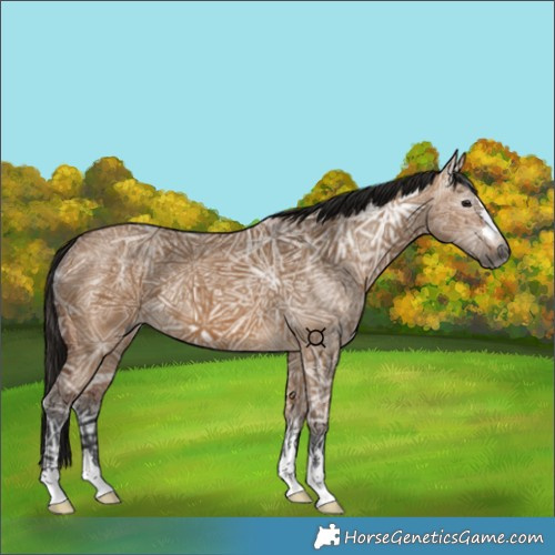 Horse Color:Gray Bay Ice Dun 