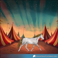 Horse Color:Platinum Painted White Spotted Liver Red Dun Pearl Rabicano