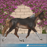 Horse Color:Liver Chestnut Tobiano 