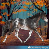 Horse Color:White Spotted Liver Chestnut Tobiano 