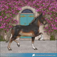 Horse Color:Gray White Spotted Chocolate Palomino Tobiano 