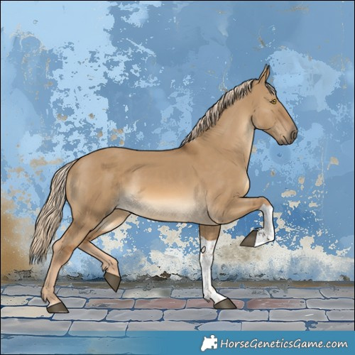 Horse Color:Chocolate Palomino Dun Tobiano