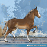 Horse Color:Chocolate Palomino 