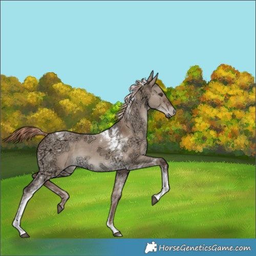 Horse Color:Liver Red Dun Ice Tobiano 