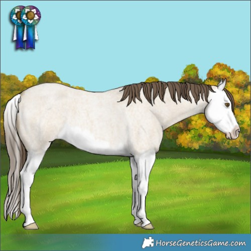 Horse Color:Classic Cream Champagne Roan Dun Splash 