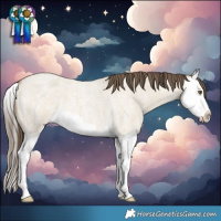Horse Color:Classic Cream Champagne Roan Dun Splash