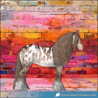 Horse Color:Liver Red Dun Tobiano Appaloosa Brindle