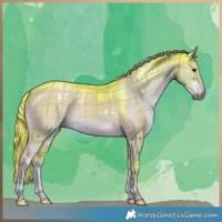 Horse Color:Watercolor Plaid  White Spotted Liver Red Dun 