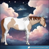 Horse Color:Red Dun Tobiano 