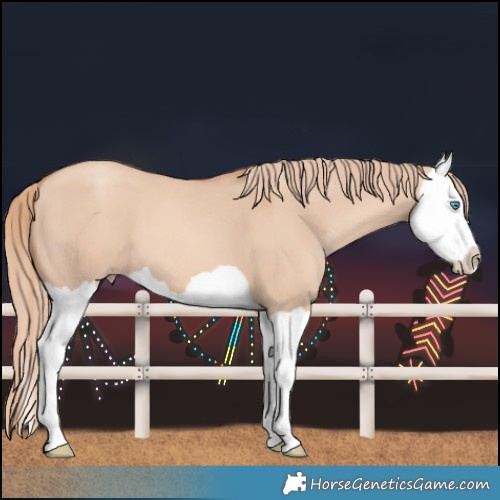 Horse Color:Gold Champagne Dun Splash 