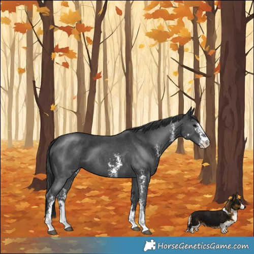 Horse Color:Black Sabino