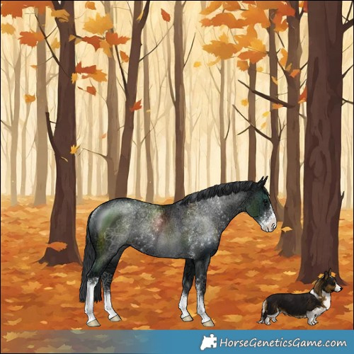 Horse Color:Black Ice Sabino Rabicano 