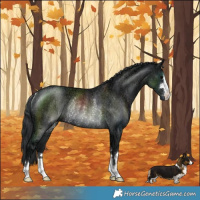 Horse Color:Black Ice Rabicano 