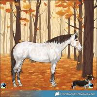 Horse Color:Bay Roan Dun Near Leopard