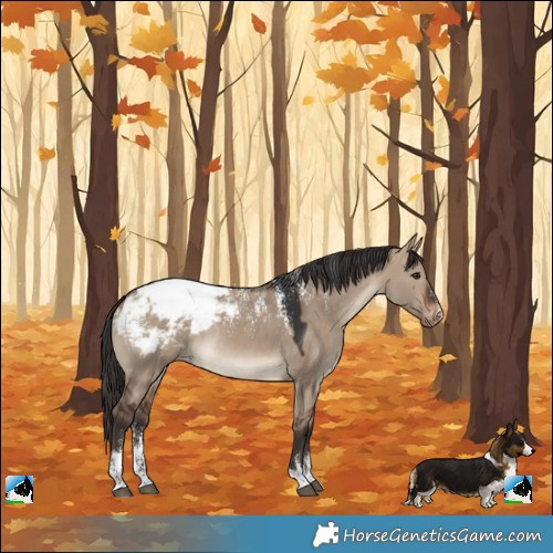 Horse Color:Powder White Brown Dun Snowcap Rabicano