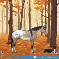 Horse Color:Powder White Brown Dun Snowcap Rabicano