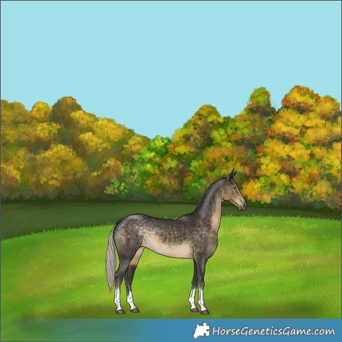 Horse Color:Silver Smoky Black Tobiano Rabicano