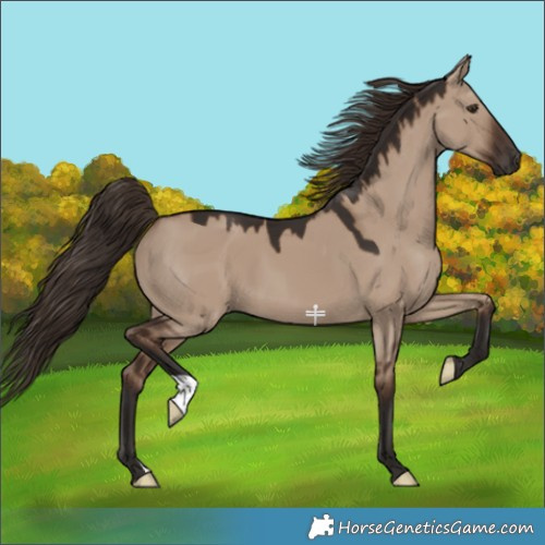 Horse Color:Liver Red Dun 