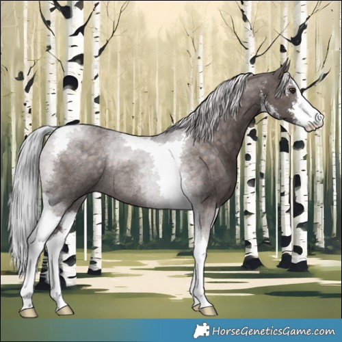 Horse Color:Platinum White Spotted Chocolate Palomino Tobiano Rabicano