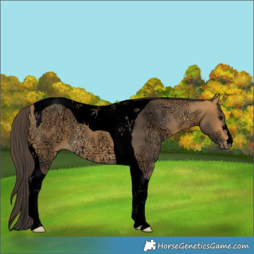 Horse Color:Void Buckskin Ice Tobiano 