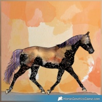 Horse Color:Void Painted Chocolate Palomino Ice Onyx Splash Tobiano 