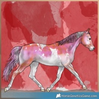 Horse Color:Watercolor Plaid  White Spotted Liver Red Onyx Tobiano Rabicano Brindle 