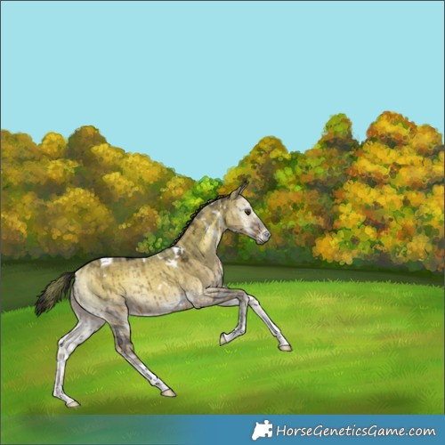 Horse Color:Plaid  White Spotted Liver Red Dun Ice Onyx Tobiano Brindle