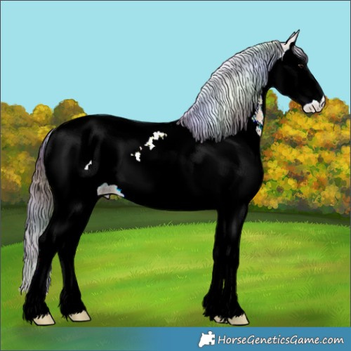 Horse Color:Nacre Buckskin Ice Sabino Splash Tobiano 
