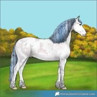 Horse Color:Painted White Spotted Smoky Grullo Ice Sabino Splash Appaloosa