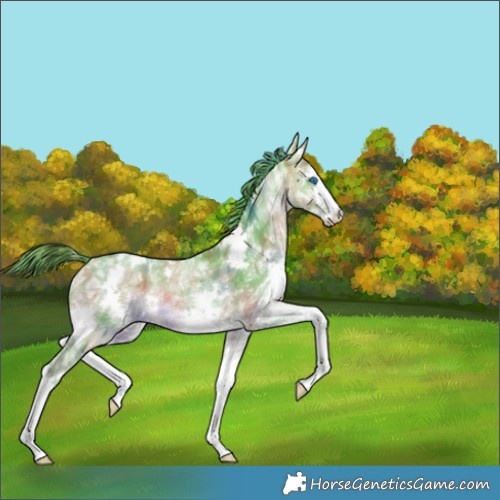 Horse Color:Nacre Watercolor White Spotted Buckskin Ice Splash Rabicano 