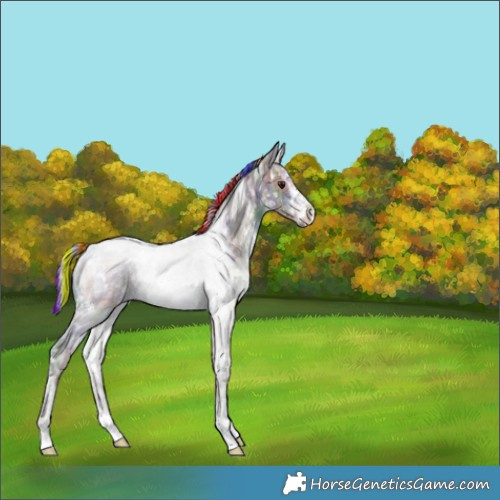 Horse Color:Painted Nacre White Spotted Silver Brown Ice 