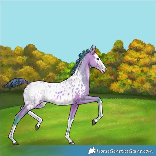 Horse Color:Painted Watercolor Bay Ice Splash Appaloosa Rabicano 