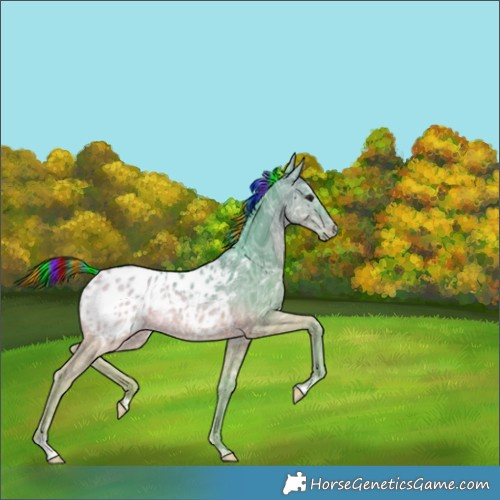 Horse Color:Painted Watercolor Bay Ice Blanket Rabicano 