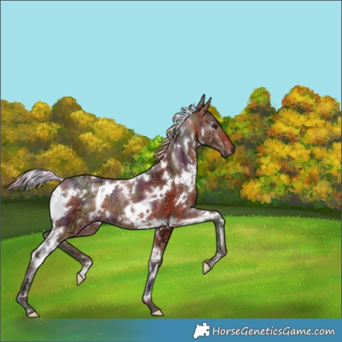 Horse Color:Nacre White Spotted Silver Brown Ice 