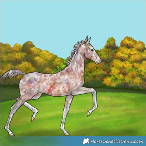 Horse Color:Nacre White Spotted Silver Brown Ice Sabino 