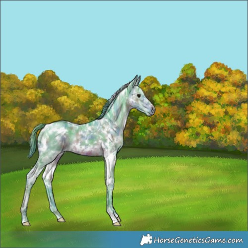 Horse Color:Nacre Watercolor White Spotted Brown Ice 