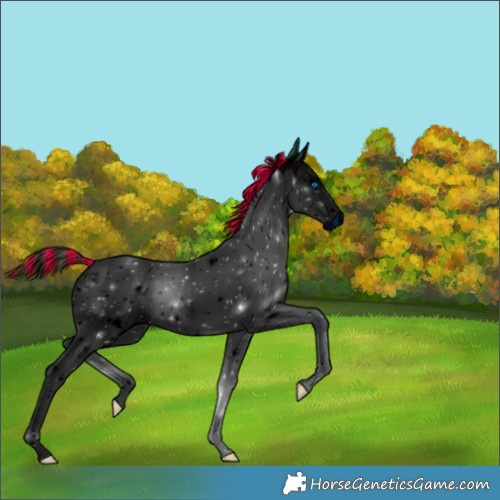 Horse Color:ERROR: UNKNOWN ANOMALY