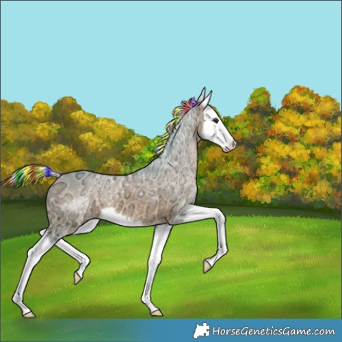 Horse Color:Painted Watercolor Silver Brown Ice Splash 