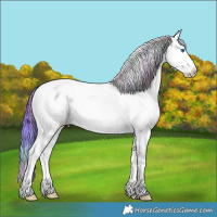 Horse Color:Nacre Watercolor Bay Ice Dun Sabino Splash 