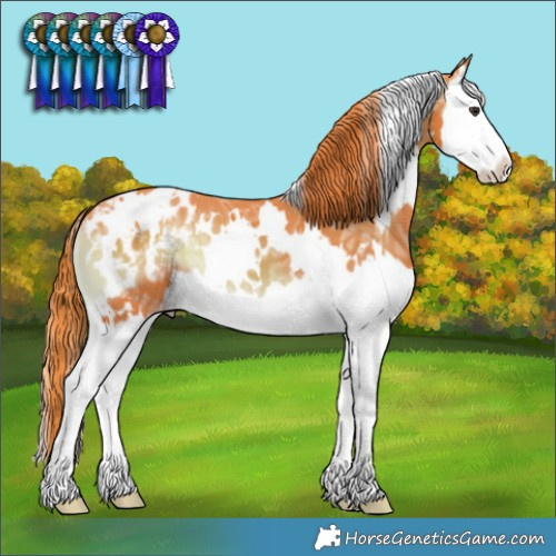 Horse Color:Watercolor White Spotted Red Onyx Ice Splash Appaloosa