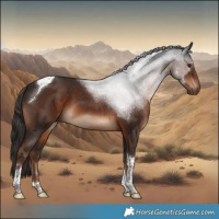 Horse Color:Liver Chestnut Tobiano 