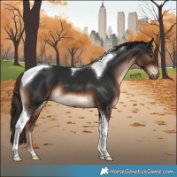 Horse Color:Liver Chestnut Tobiano
