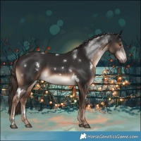 Horse Color:White Spotted Liver Chestnut 