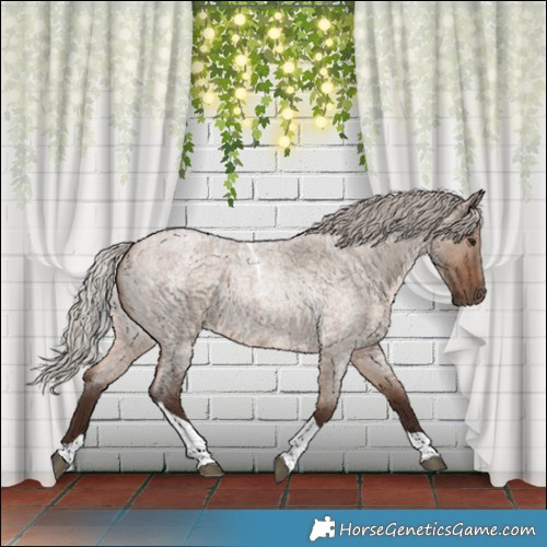 Horse Color:Silver Brown Roan Dun Tobiano