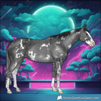 Horse Color:White Spotted Black Splash