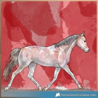 Horse Color:Watercolor Plaid  White Spotted Liver Red Dun Onyx Tobiano Brindle 